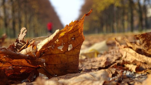 Menjaga Imunitas di Musim Pancaroba