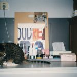 black and white cat on white table