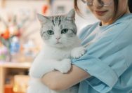 A woman holding a cat in her arms