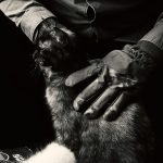 a person wearing gloves petting a cat