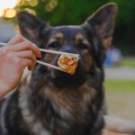 a woman is eating a piece of pizza with a dog in the background