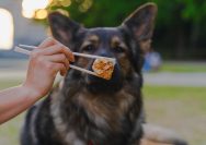a woman is eating a piece of pizza with a dog in the background
