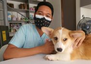 a man wearing a face mask sitting next to a dog