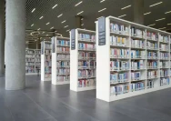 istockphoto-2168307181-612x612