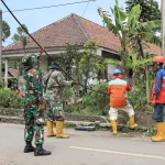 WhatsApp Image 2025-11-29 at 02.44.50 (1)