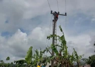 WhatsApp Image 2025-11-29 at 22.24.42