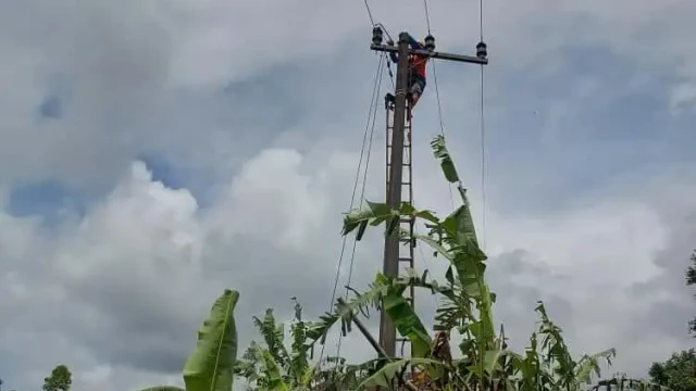 WhatsApp Image 2025-11-29 at 22.24.42