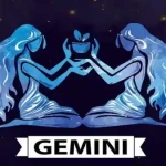 47443_gemini