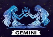 47443_gemini