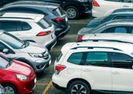 istockphoto-1350571198-612x612