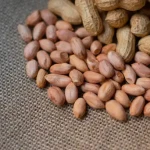 istockphoto-1358750230-612x612