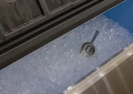 istockphoto-2221872702-612x612