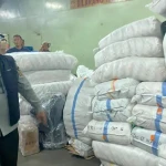 WhatsApp Image 2025-12-24 at 23.45.25 (1)