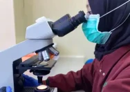 20220926055326_gallery-5