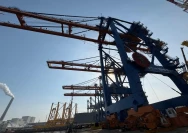 WhatsApp Image 2026-02-13 at 15.53.33