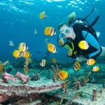 Scuba Diving in Nusa Penida