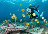 Scuba Diving in Nusa Penida