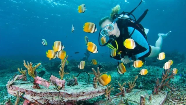 Scuba Diving in Nusa Penida