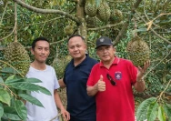 WhatsApp Image 2026-04-15 at 17.42.59