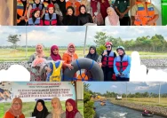 collage