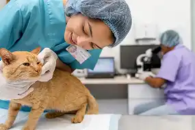 health-2