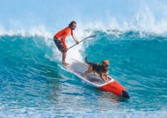 paddle-boarding-with-dogs (1)